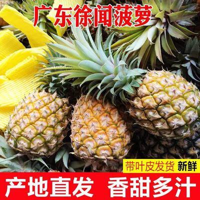 广东徐闻菠萝水果5斤当季香水菠萝新鲜凤梨湛江小菠萝非云南整箱