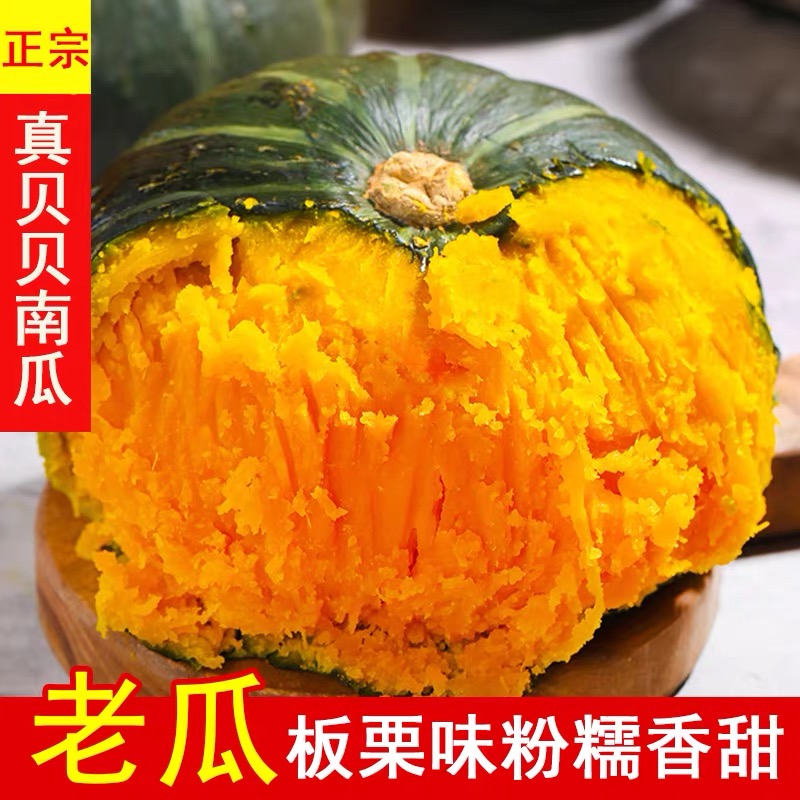 爆粉爆甜正宗贝贝南瓜板栗味迷你新鲜小南瓜孕妇宝宝辅食整箱批发