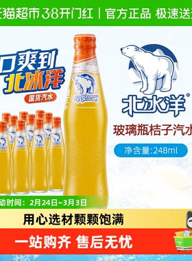 北冰洋精制桔汁汽水248mlx12瓶果汁碳酸饮料饮品中华北京老字号