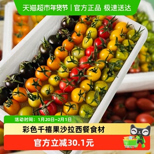 缤纷圣女果3斤混装搭配彩色千禧果沙拉西餐食材现摘整箱