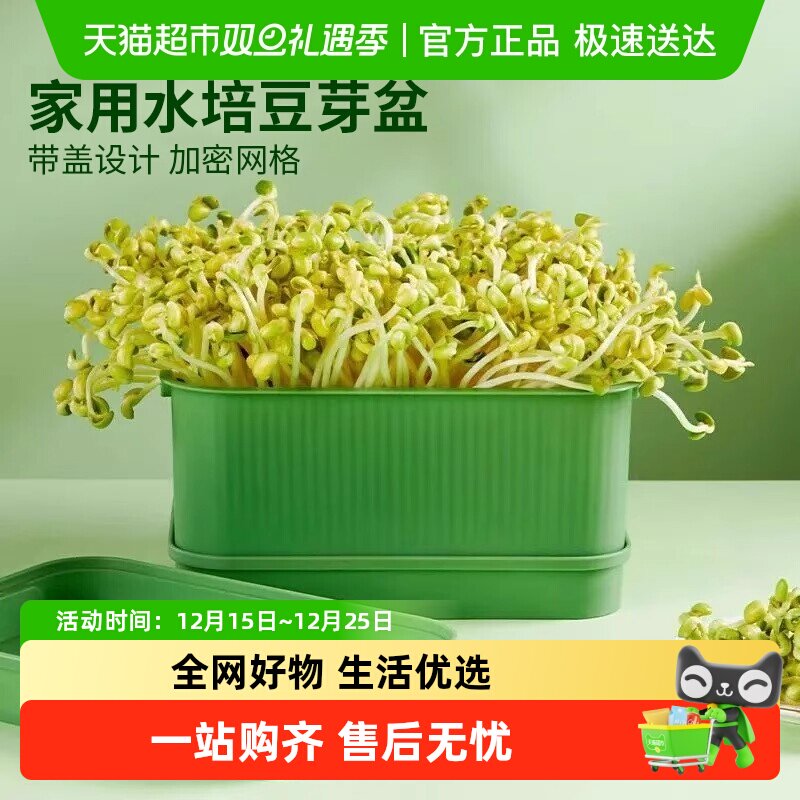 豆芽发芽盆育苗