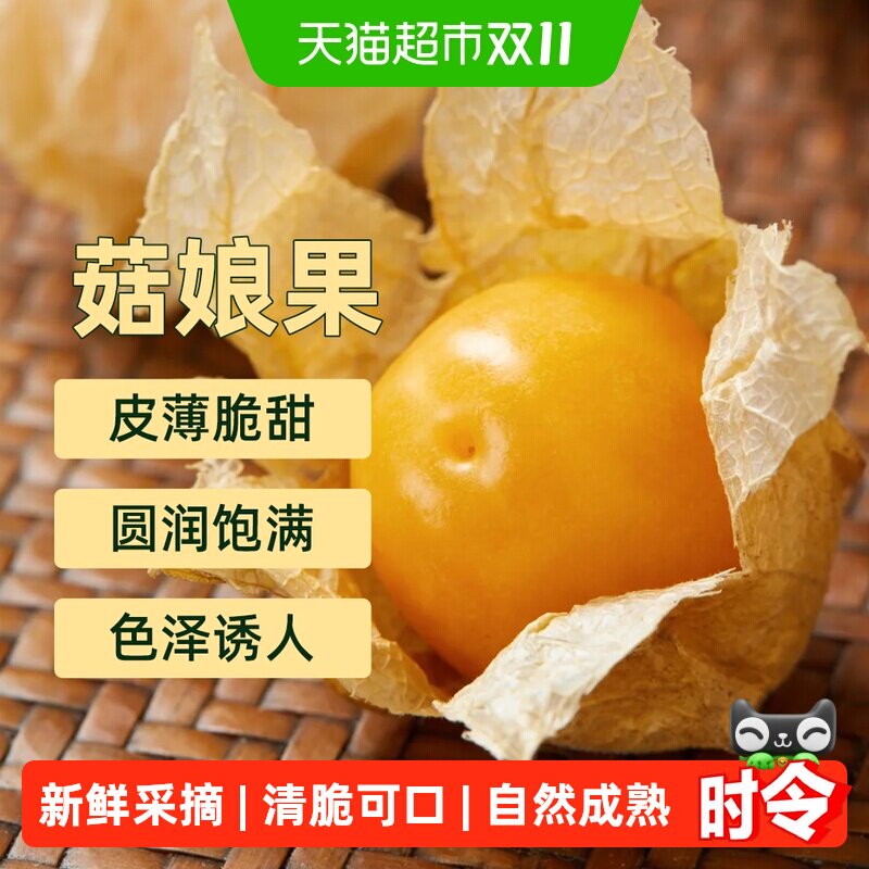 东北姑娘果新鲜菇娘果灯笼果黄菇娘当季新鲜罕见水果礼盒装