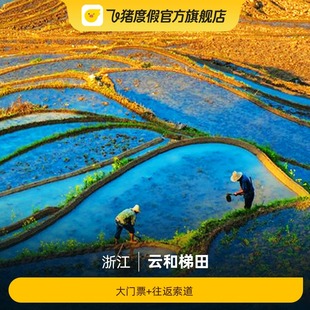 [云和梯田-大门票+往返索道]云和梯田