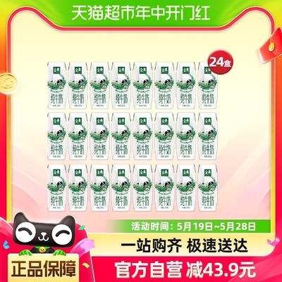 伊利金典纯牛奶250ml*24盒/箱