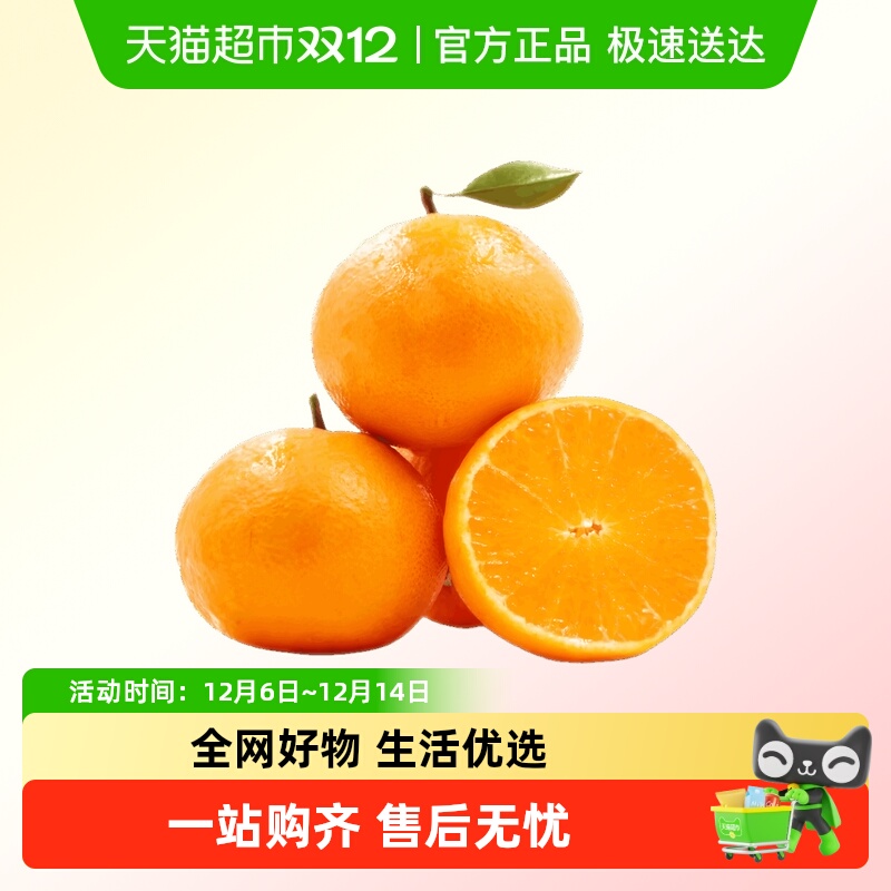 乡食记爱媛果冻橙橙子