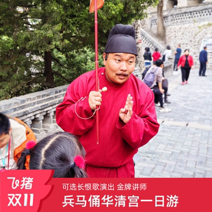 西安旅游兵马俑一日游华清宫 长恨歌 可选15人小团网红导游铜车马