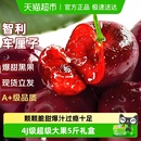智利进口车厘子新鲜水果礼盒应当季 大樱桃345J整箱现货立发孕妇斤