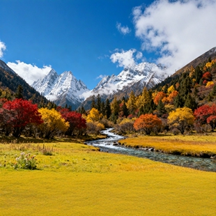 8人小团丨成都毕棚沟达古冰川川西2天1晚纯玩二日游两日游