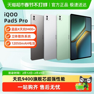 vivo iQOO Pad5 Pro平板电脑游戏网课学习娱乐追剧13英寸大屏幕