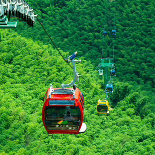 [天目湖南山竹海-大门票+单程小火车+双程架空索道 ]大门票+单程小火车+双程架空索道