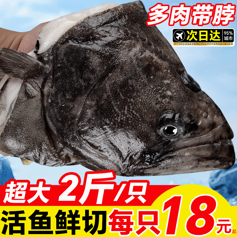 鸦片鱼碟鱼头新鲜冷冻超大鸦片鱼整条现切深海比目鱼