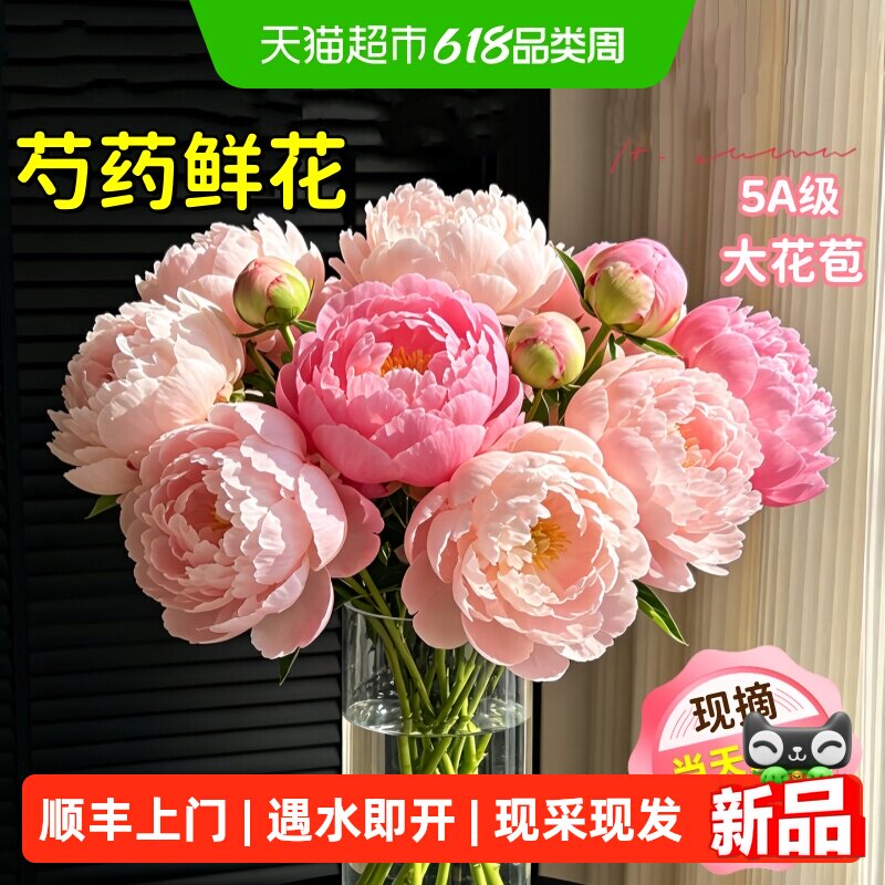 顺丰上门芍药鲜花重瓣云南鲜切花束牡丹情人母亲节山东菏泽基地