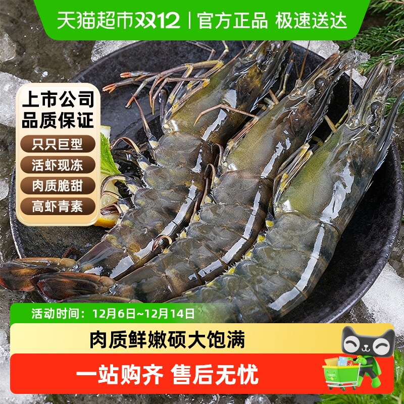 国联特大号新鲜大虾黑虎虾