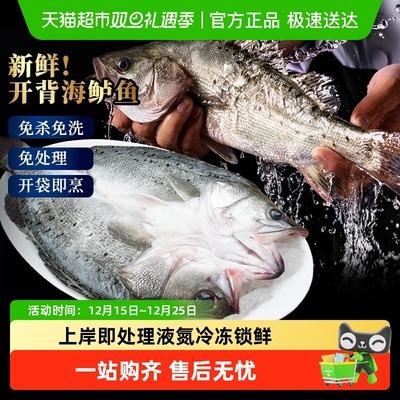 海仙部落鲈鱼开背免处理