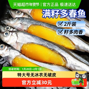 加拿大多春鱼满籽新鲜冷冻商用人吃多籽鱼450g*2包