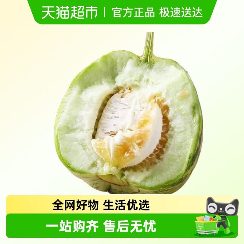 东北八里香花蕾甜瓜新鲜现摘花皮瓜花姑娘应季香甜孕妇水果甜瓜