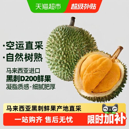 王上榴马来西亚黑刺榴莲细腻肥厚