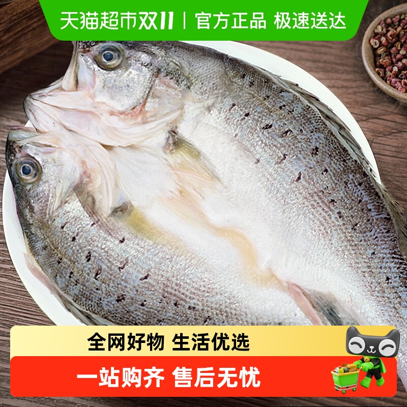 鲜驰三去开背海鲈鱼500g×3条