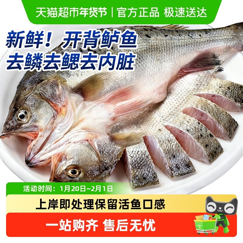 海仙部落海鲈鱼开背去鳞去腮去内脏新鲜冷冻免处理烤鱼半成品,水产肉类/新鲜蔬果/熟食,鲈鱼,淘宝优惠券,粉丝福利购,淘宝优惠卷
