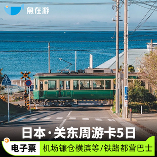 日本关东周游卡5日东京机场日光镰仓横滨铁路地铁都营巴士电子票