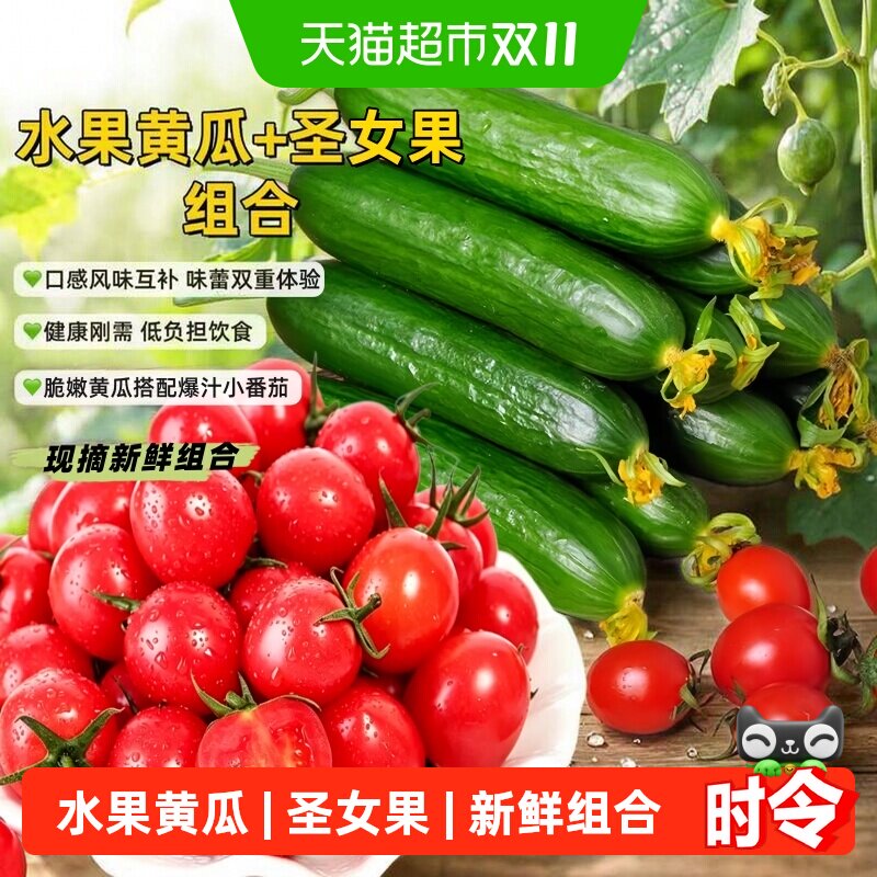 栗贝诺山东水果黄瓜圣女果组合樱桃小番茄西红柿黄瓜即食生吃新鲜