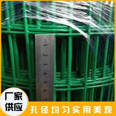 新拦鸡网铁丝鸡鸭鹅养殖网菜地围栏围网农村果园绿网防护网养鸡促