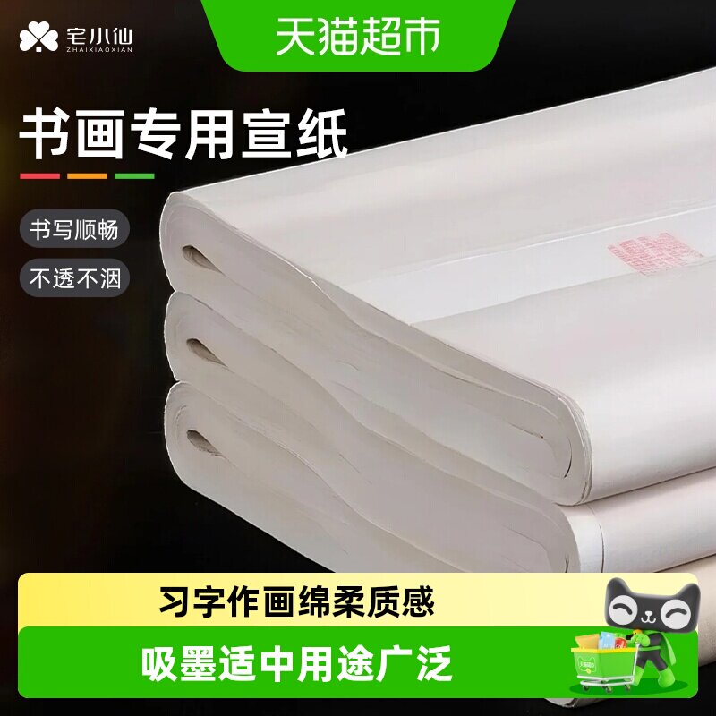 宅小仙宣纸美术国画专用作品纸书法练字临摹纸儿童写毛笔字练习纸
