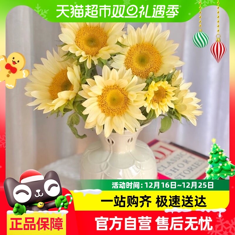 ���տ��ʻ�����̩����������ֱ��ˮ��ֲ������֦����ˮ��������ֲ