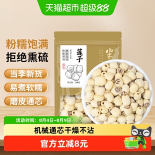 半山农当季鲜采通芯小湘莲新鲜莲子300g搭银耳百合羹软糯甘甜易煮
