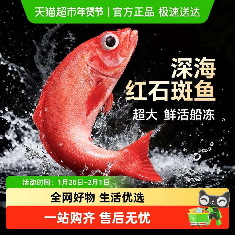 云储生活红石斑鱼鲜活冷冻海鱼特大红鱼富贵鱼深海新鲜海鲜水产,水产肉类/新鲜蔬果/熟食,比目鱼/多宝鱼/鸦片鱼/龙利鱼,淘宝优惠券,粉丝福利购,淘宝优惠卷