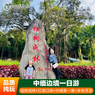 打洛国门 独树成林 0购物纯玩一日游 勐景来 中缅边境