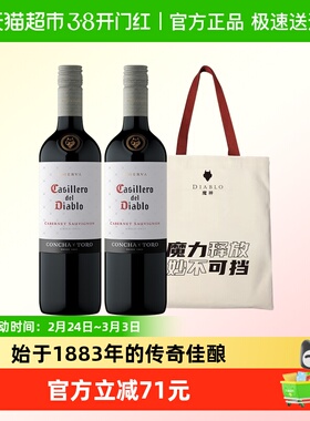 干露红魔鬼经典赤霞珠双支组合礼袋装智利进口葡萄酒750ml*2瓶