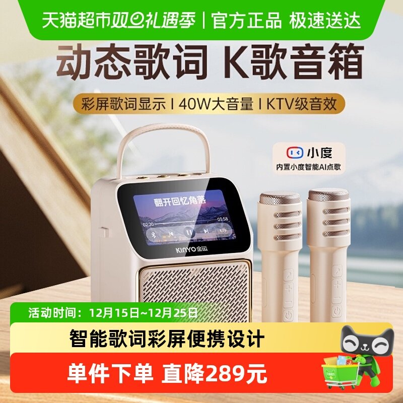 金运歌词音箱家用k歌麦克风话筒一体家庭ktv户外唱歌蓝牙音响k800