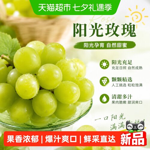 新欢阳光玫瑰当季青提酸甜多汁