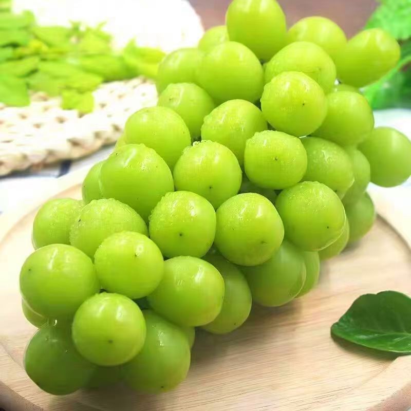 顺丰包邮阳光玫瑰葡萄新鲜特大果晴王无籽香印青提当季水果