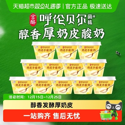 伊利奶皮子酸奶原味生牛乳发酵