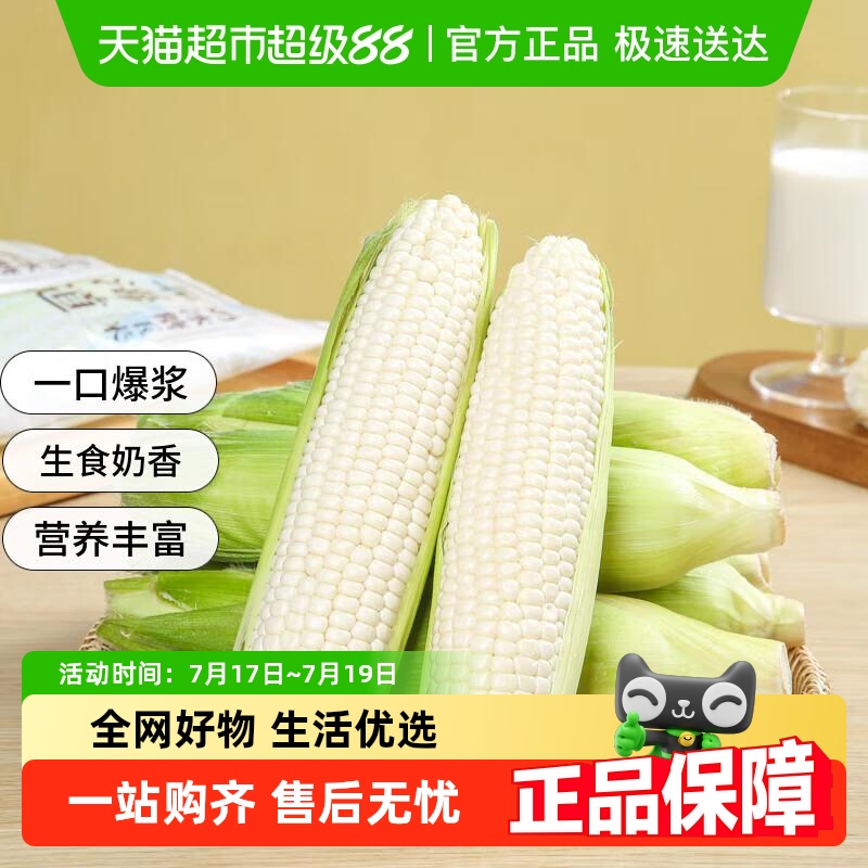 攀果爆浆冰糖牛奶水果玉米