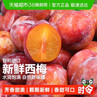 智利西梅新鲜水果脆甜李大果当季孕妇水果