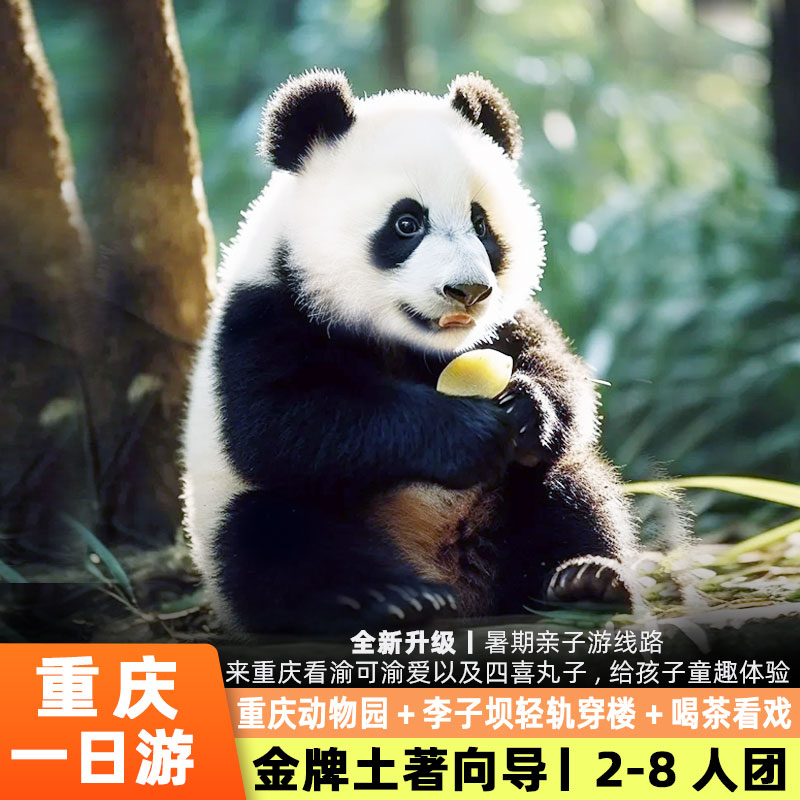 重庆一日游纯玩小团