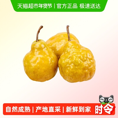 裕鲜生正宗山东烟台中华丑梨