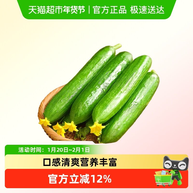 众利合脆嫩无刺水果小黄瓜新鲜采摘水分充足脆口清爽适合生吃即食,水产肉类/新鲜蔬果/熟食,黄瓜,淘宝优惠券,粉丝福利购,淘宝优惠卷