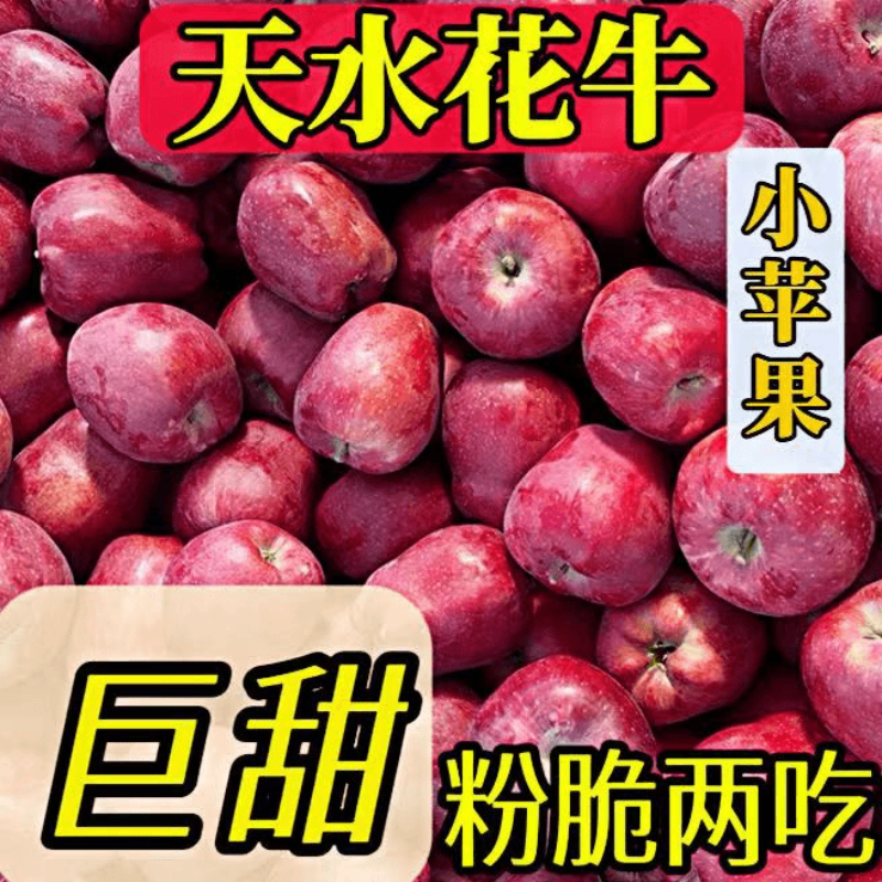 天水花牛苹果应季黑卡蛇果脆甜粉糯两吃新鲜水果精选花牛小苹果,水产肉类/新鲜蔬果/熟食,苹果,淘宝优惠券,粉丝福利购,淘宝优惠卷