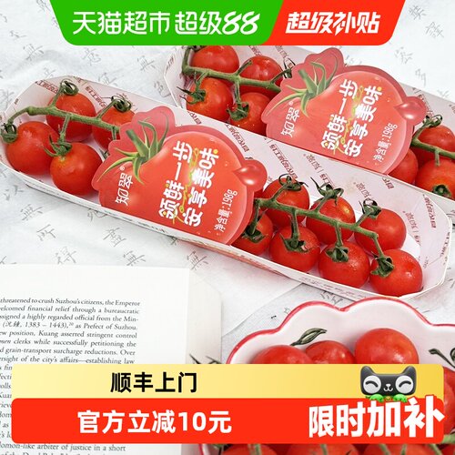 知翠熊蜂授粉小番茄198g*4盒