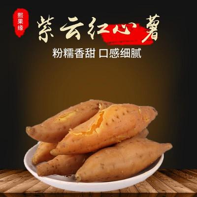 贵州紫云红芯红薯原产地直发新鲜现挖农家地瓜板栗小番薯软糯香甜