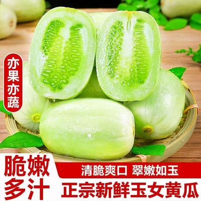 正宗山东源头玉女小黄瓜新鲜拇指黄瓜青枣黄瓜脆甜多汁宝宝爱生吃
