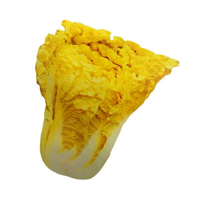 蔬菜鸡蛋黄种植中早熟耐热大白菜