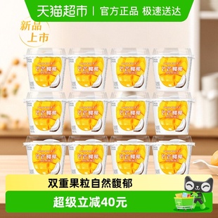 卡士酸奶芒果清椰果粒鲜酪乳100g 上市 18杯风味发酵乳 新品