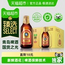 6瓶提盒新老包装 青岛啤酒高端小棕金11度296ml 交替发货 臻选