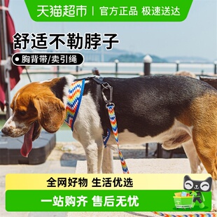 love宠物牵引绳电光火石款 for Bond 遛狗绳 PET