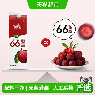 扬百利杨梅汁果蔬汁盒装大瓶饮料孕妇饮品可冰镇